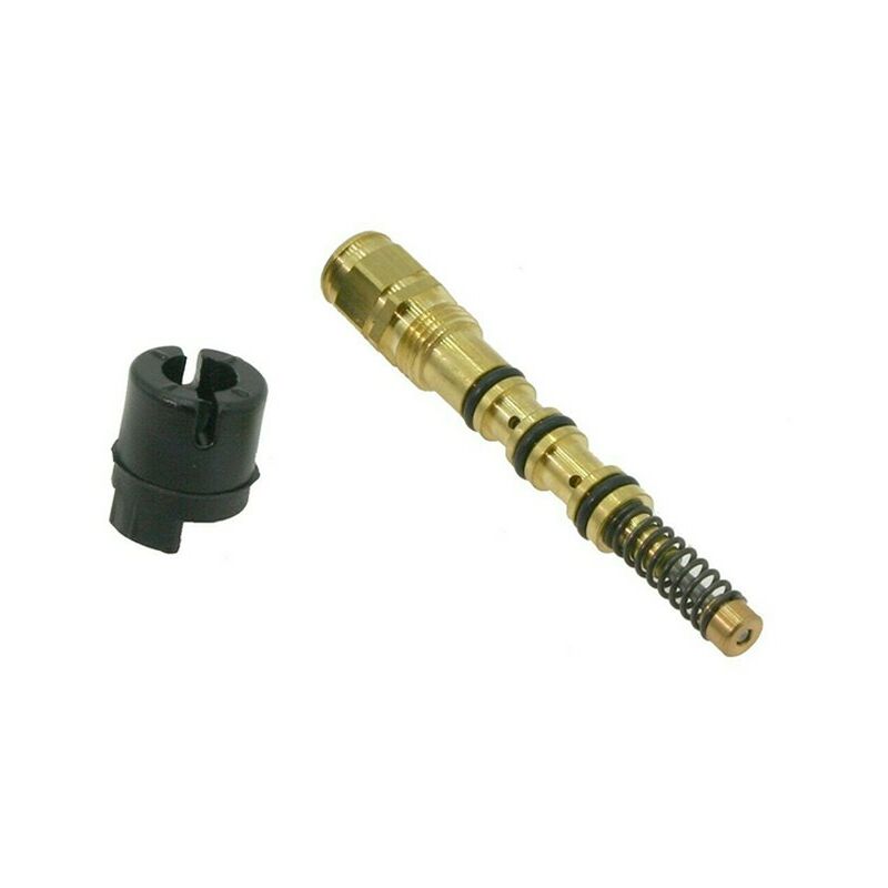 foto del prodotto kit pompa olio motosega alpina pr350, p34 originale