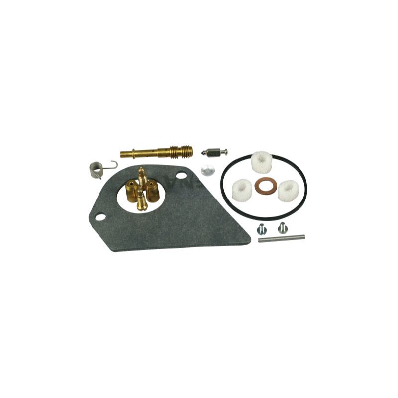 foto del prodotto kit revisione carburatori motore briggs stratton 10, 10,5 e 11,5.