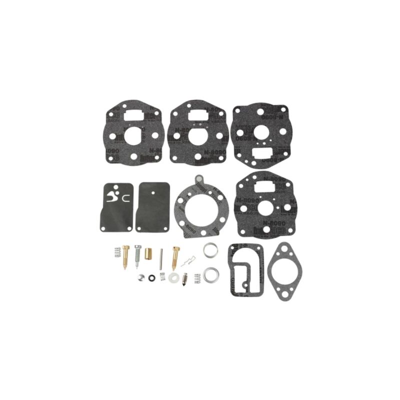 foto del prodotto kit revisione carburatori motore briggs stratton 2 cilindri 393301 394034
