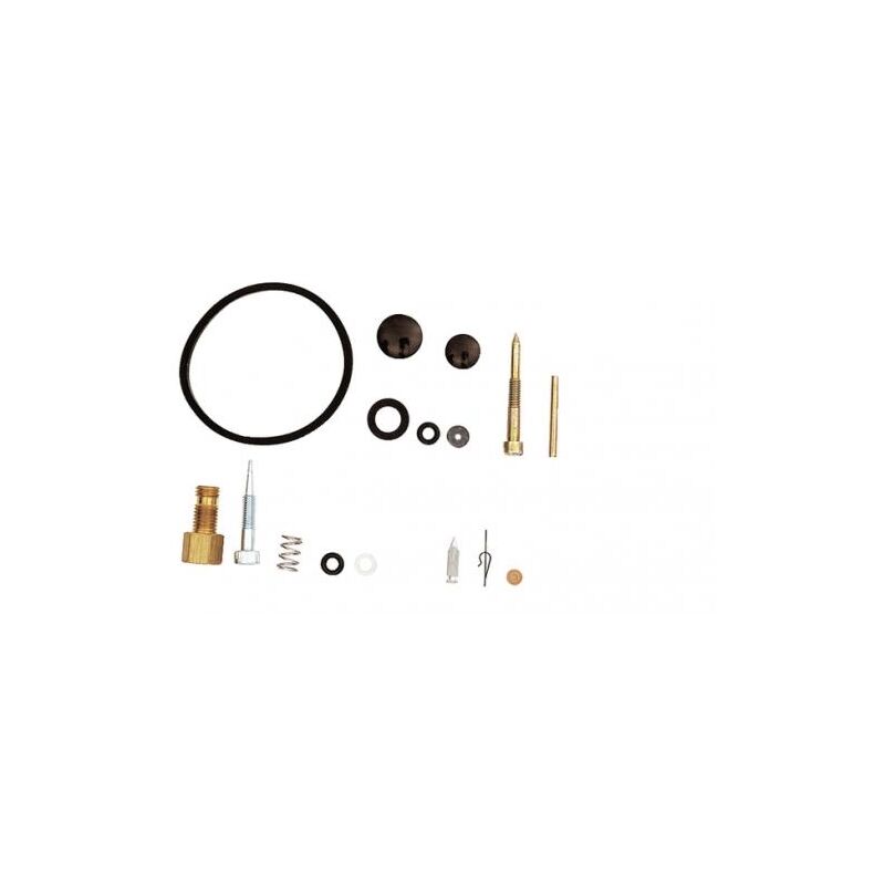 foto del prodotto kit revisione carburatori tecumseh 631029 631240 segmenti h25 30 lav25 35