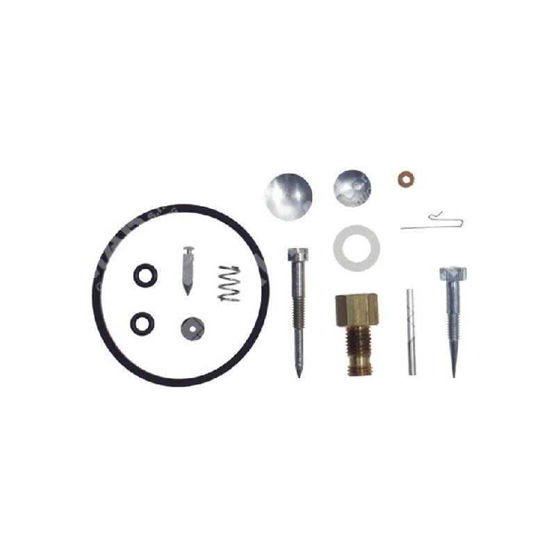 foto del prodotto kit riparazione per carburatori aspera tecumseh tecnamotor 31840 compatibile 006656