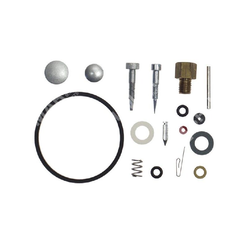 foto del prodotto kit riparazione per carburatori aspera tecumseh tecnamotor 631782 compatibile 006651