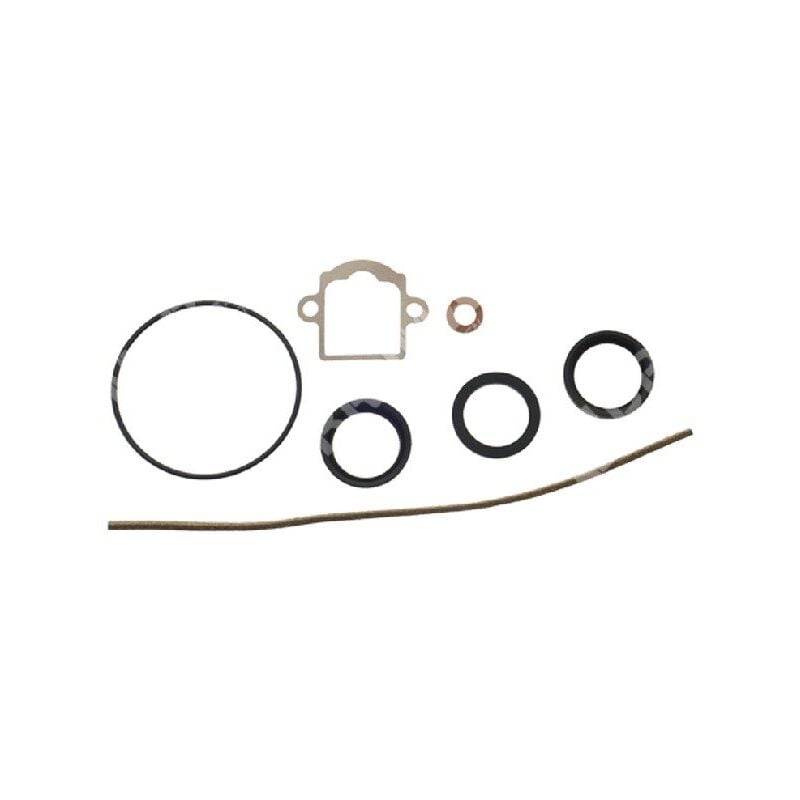 foto del prodotto kit riparazione per carburatori dell orto 52579.77 5257900.77 compatibile 008423