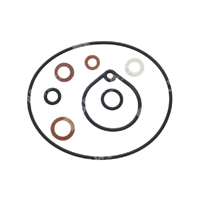 foto del prodotto kit riparazione per carburatori dell orto 52610.77 5261000.77 compatibile 008421