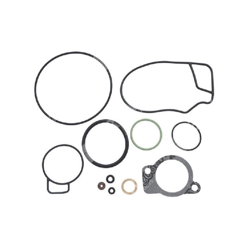 foto del prodotto kit riparazione per carburatori dell orto 5262100 77 compatibile 022418