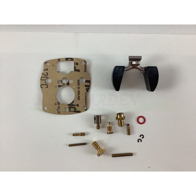 foto del prodotto kit riparazione vaschetta carburatore compatibile motore lombardini la400 la490