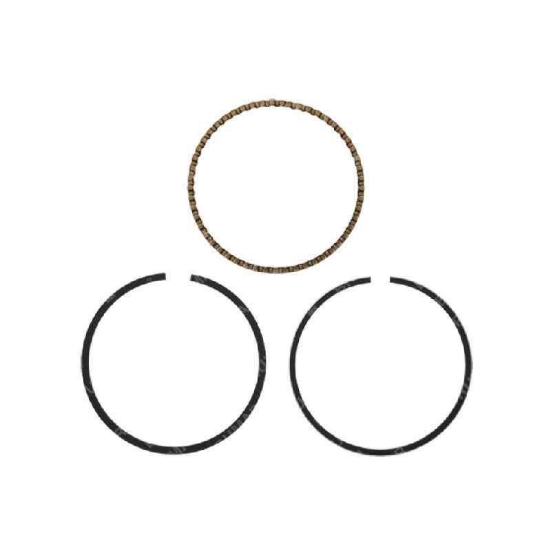 foto del prodotto kit segmenti yat compatibile 055059