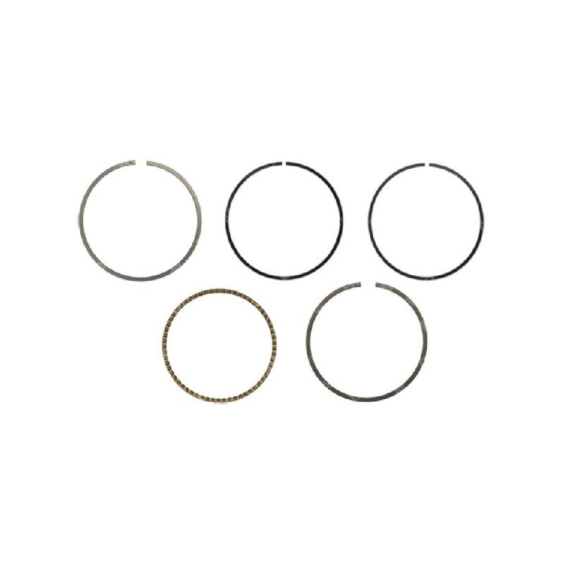 foto del prodotto kit segmenti yat compatibile 058495