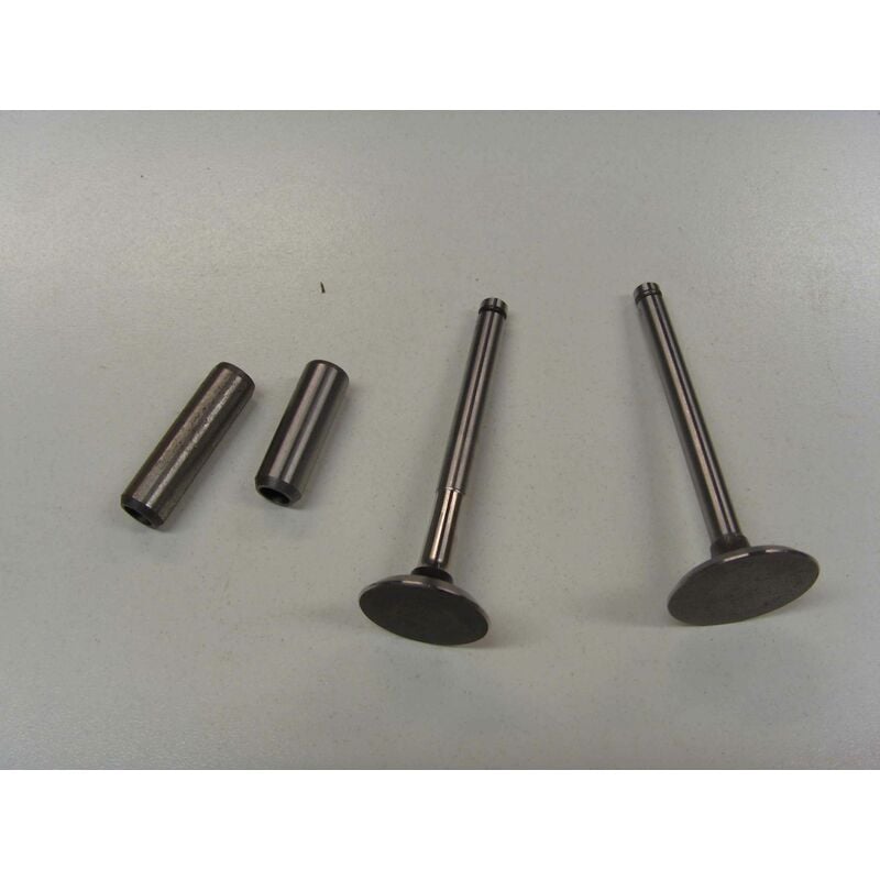 foto del prodotto kit valvole con guida valvole motore diesel lombardini 6ld360 6ld400 kit6l2