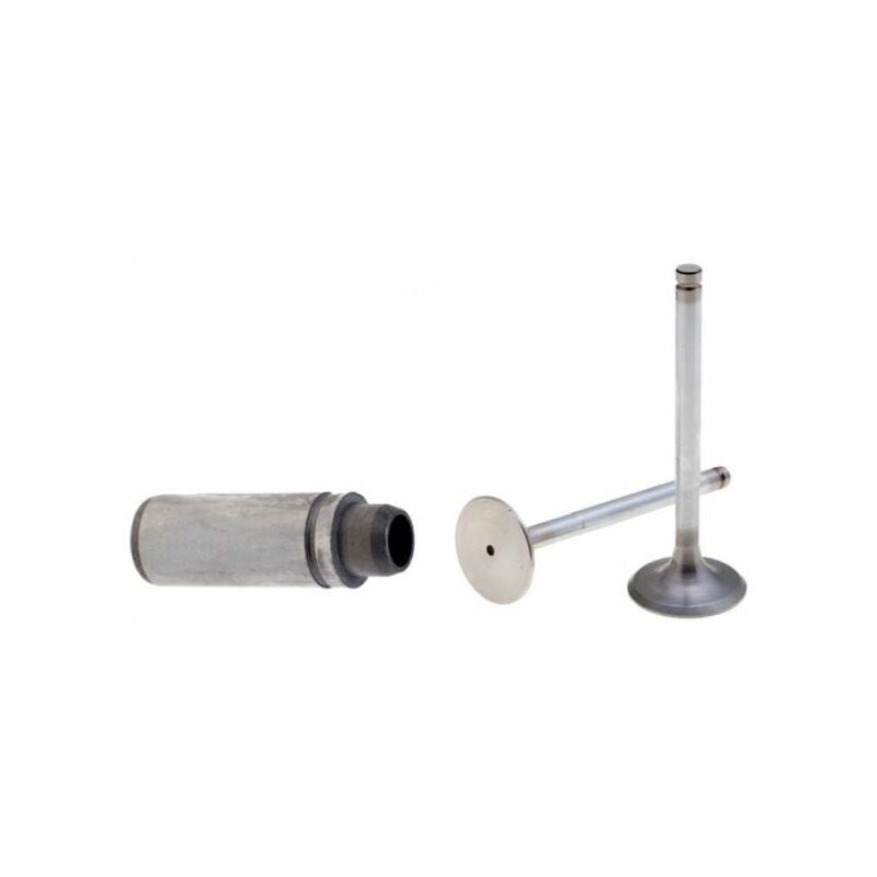 foto del prodotto kit valvole con guida valvole motore ruggerini rf90 rf120 rf130 rf140 rd210
