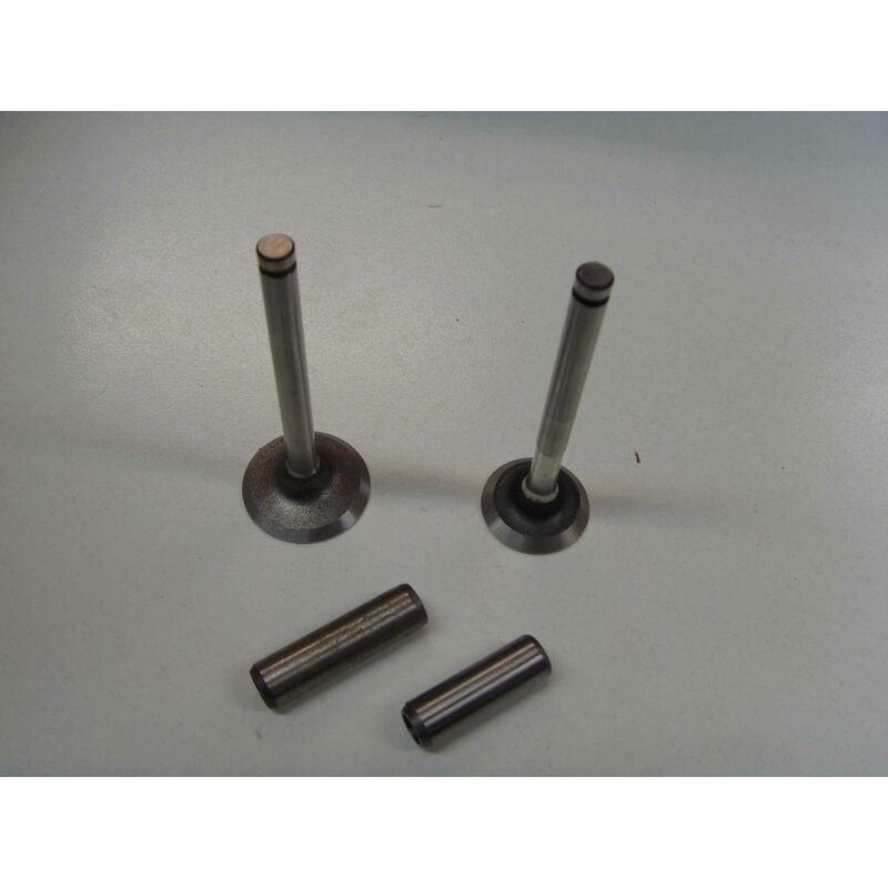 foto del prodotto kit valvole con guidavalvole motore diesel lombardini 520 523 530 532 kit6l1