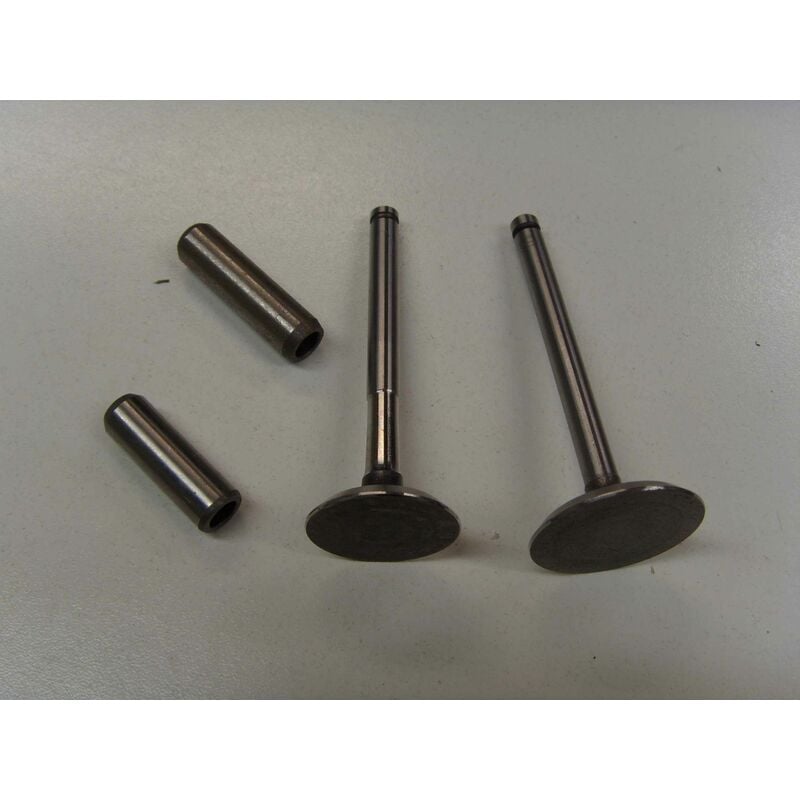 foto del prodotto kit valvole con guidavalvole motore diesel lombardini lda450 3ld510 kit3l1
