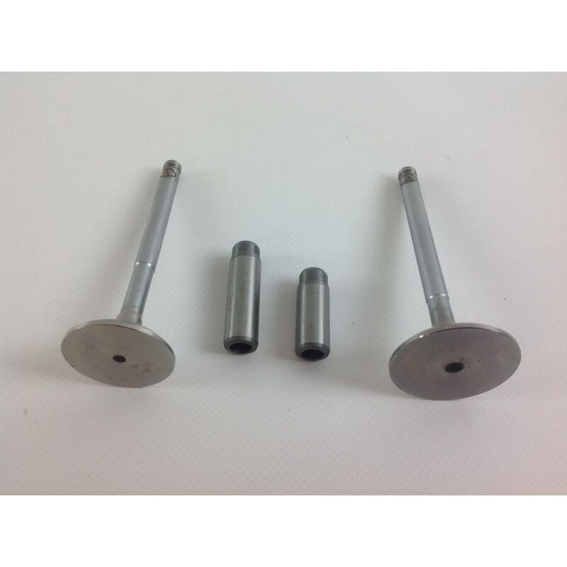 foto del prodotto kit valvole guidavalvole motore diesel lombardini lda832 lda833 lda672 lda673
