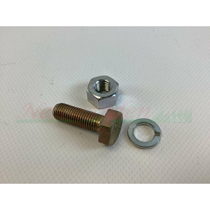 foto del prodotto kit vite dado rondella m10x1,25x30 per zappe cassone fresa goldoni 19 21 22m