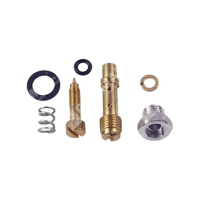 foto del prodotto kit vite regolazione per carburatori briggs stratton 391233 compatibile 006667
