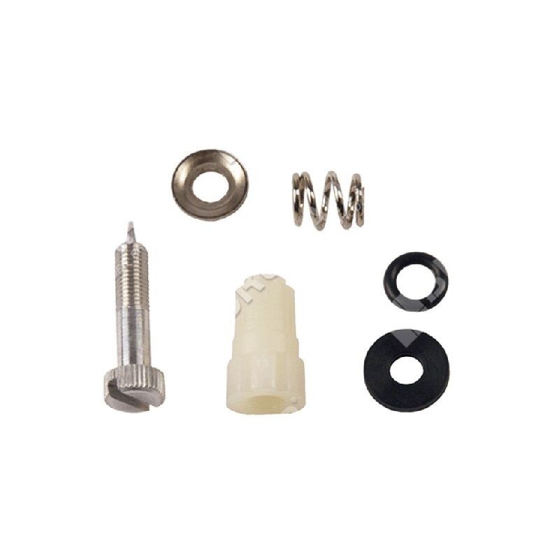 foto del prodotto kit vite regolazione per carburatori briggs stratton 395508 compatibile 006666
