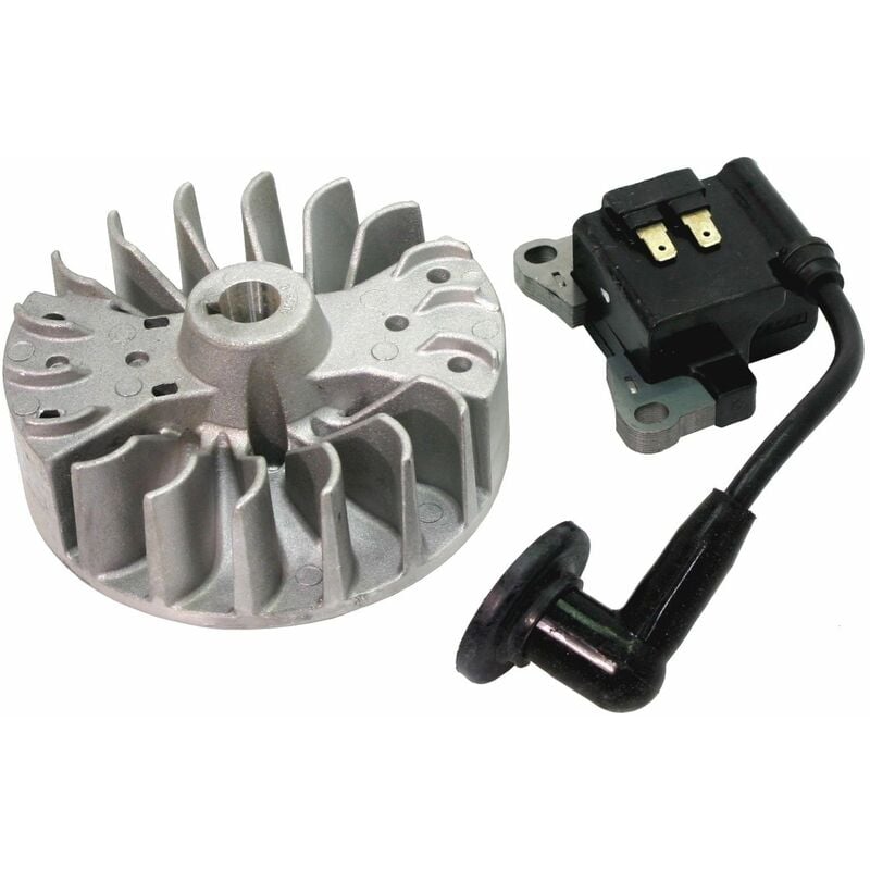 foto del prodotto kit volano bobina decespugliatore soffiatore 260 kasei 1e34f 2e.3 23044017