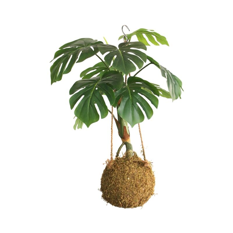 foto del prodotto kokedama monstera artificiale verde sfera di muschio 20 cm 1 pianta uvr h. 70 cm