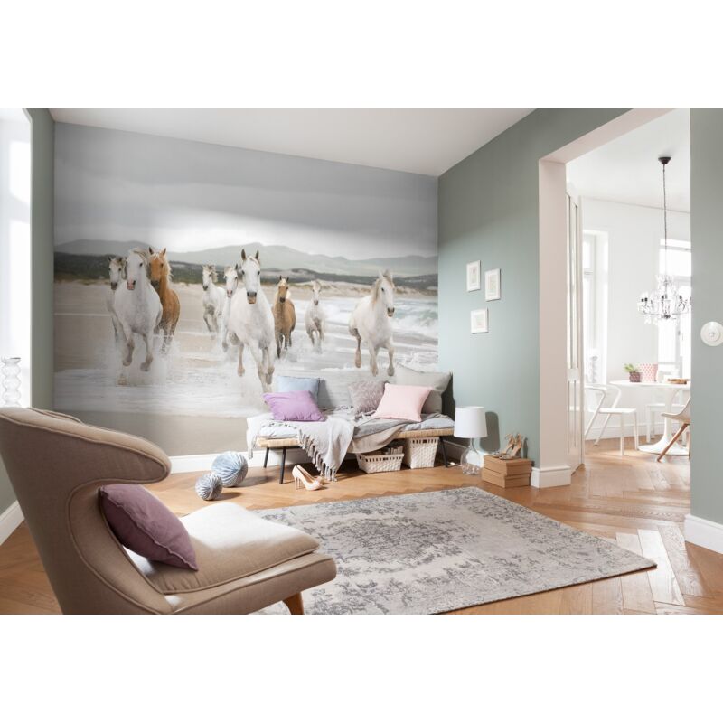 foto del prodotto komar 8 986 368 x 254 cm, cavalli bianchi , colore bianco carta da parati, colore bianco confezione da 8 