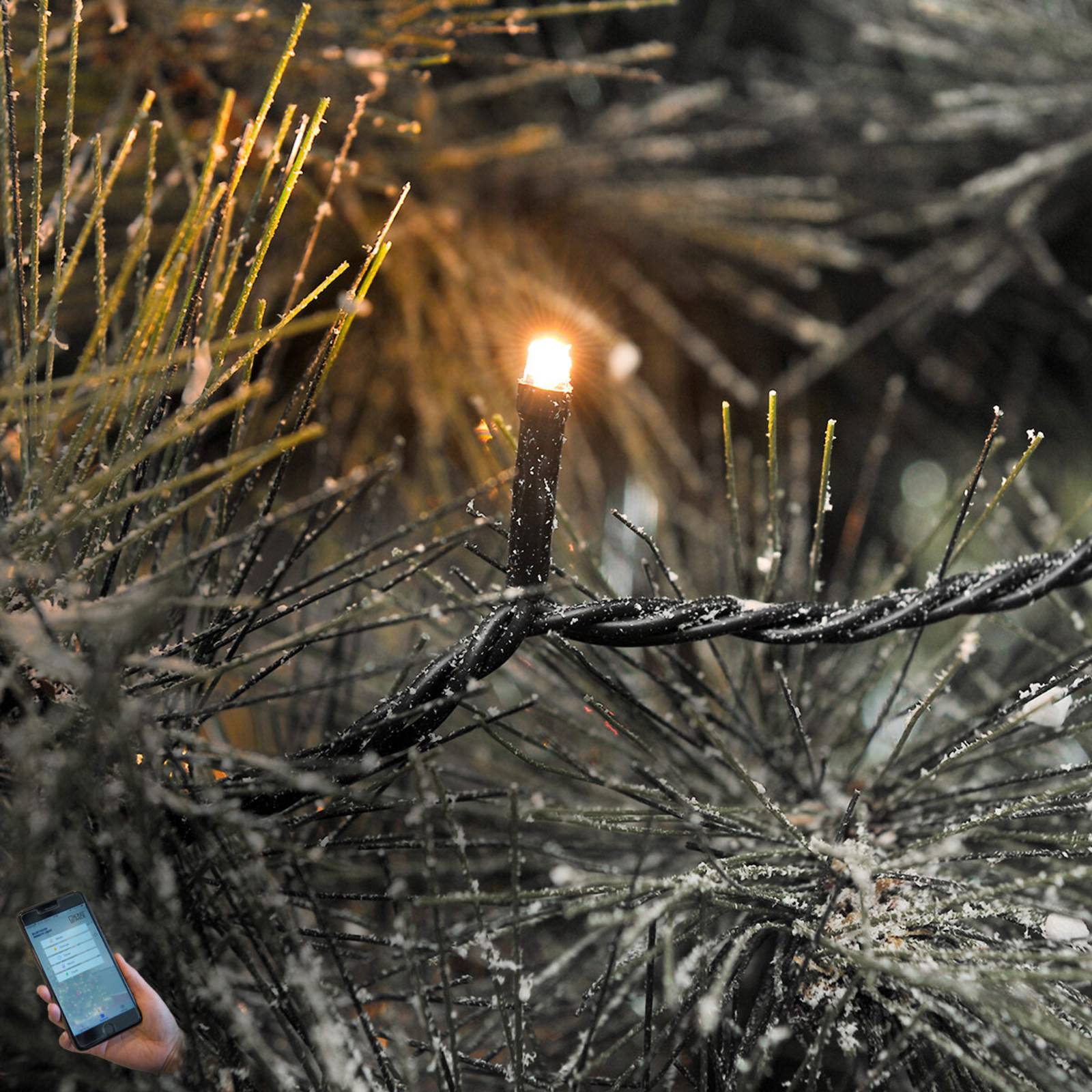 foto del prodotto konstsmide christmas ghirlanda luminosa led micro con comando via app