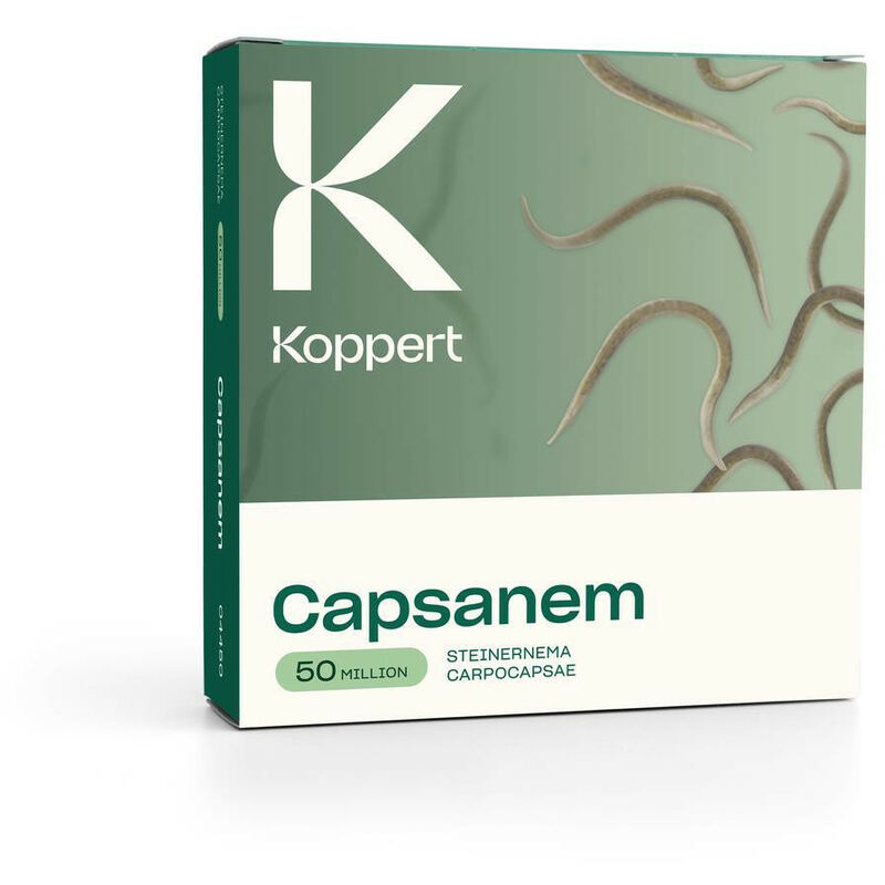 foto del prodotto koppert capsanem 50 milioni steinernema carpocapsae