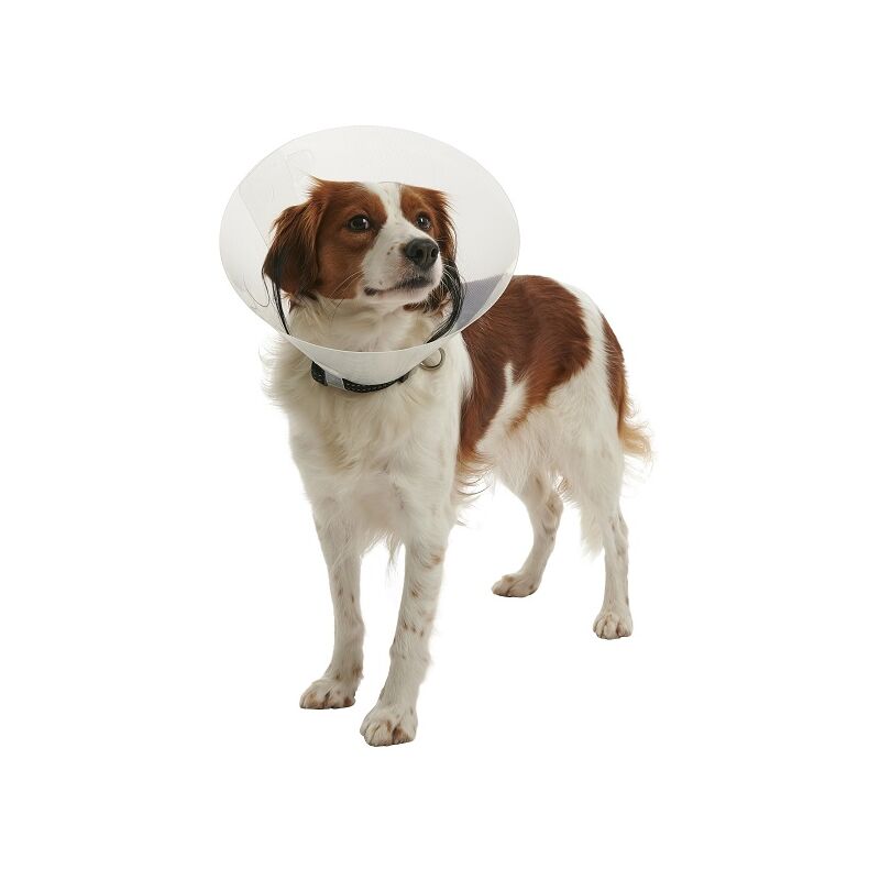 foto del prodotto kruuse transparent isabelto necklace buster click, 7,5 cm cani da 1 a 3 kg, 1ud