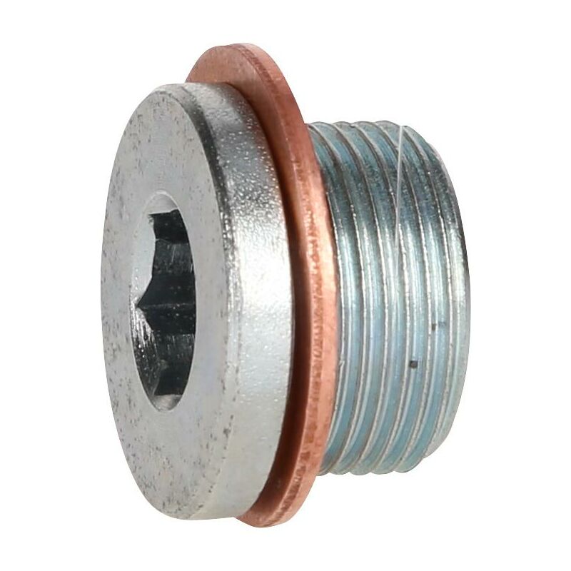foto del prodotto kstools vite di scarico olio m24 x 1,5 x 18 mm per renault