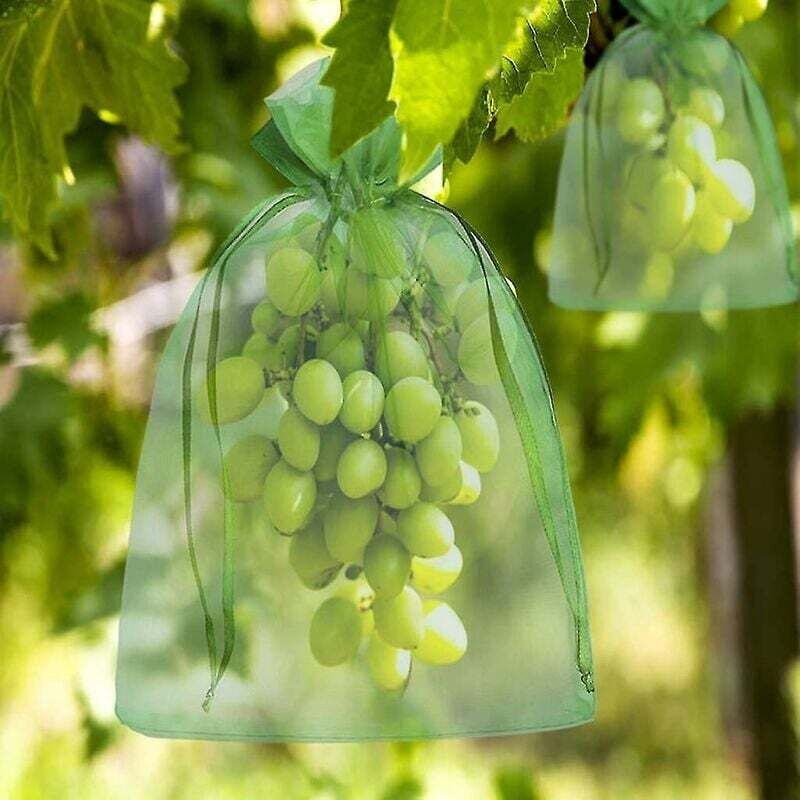 foto del prodotto kzq confezione da 100 sacchetti in organza per uva da 20x15 cm con coulisse per una protezione completa dpzo