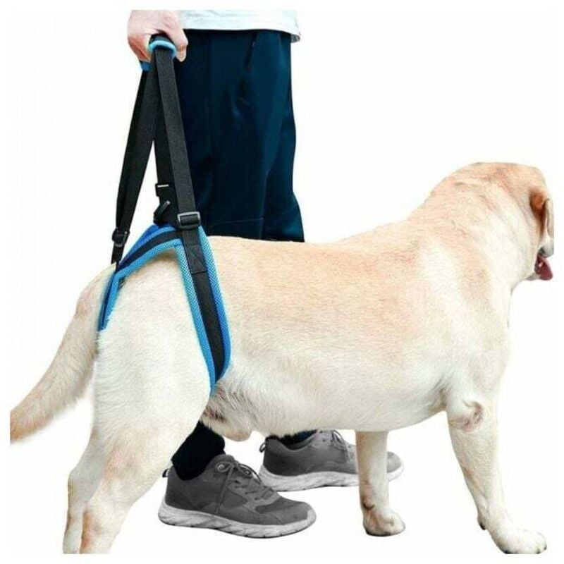 foto del prodotto l imbragatura di supporto per cani, comoda e traspirante, imbracatura di supporto anteriore e posteriore, adatta a cani di piccola e grande taglia,