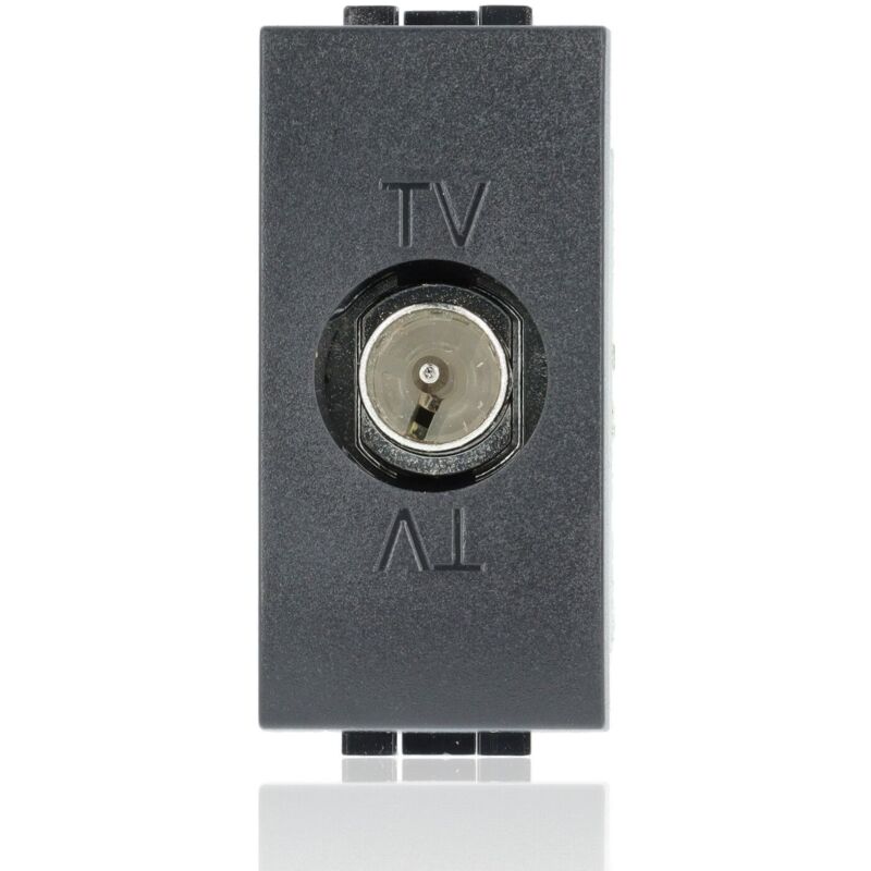 foto del prodotto l4202p14n presa livinglight tv passante 14db nero bticino