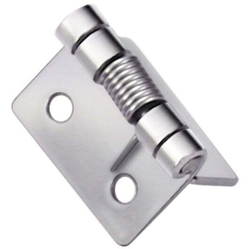foto del prodotto lablanc 2 cerniere a molla autochiudenti, cerniere a molla in acciaio inox 304, cerniere autochiudenti per porte invisibili 5 cm 