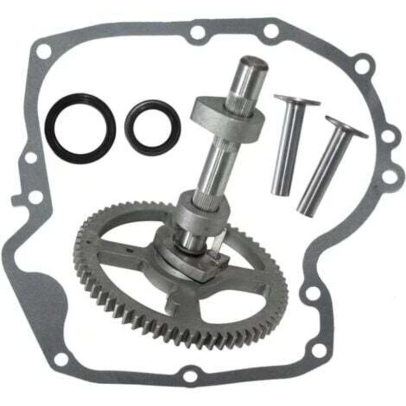 foto del prodotto lablanc alberi a camme briggs stratton 793880 793583 792681 791942 795102 kit di sostituzione camme