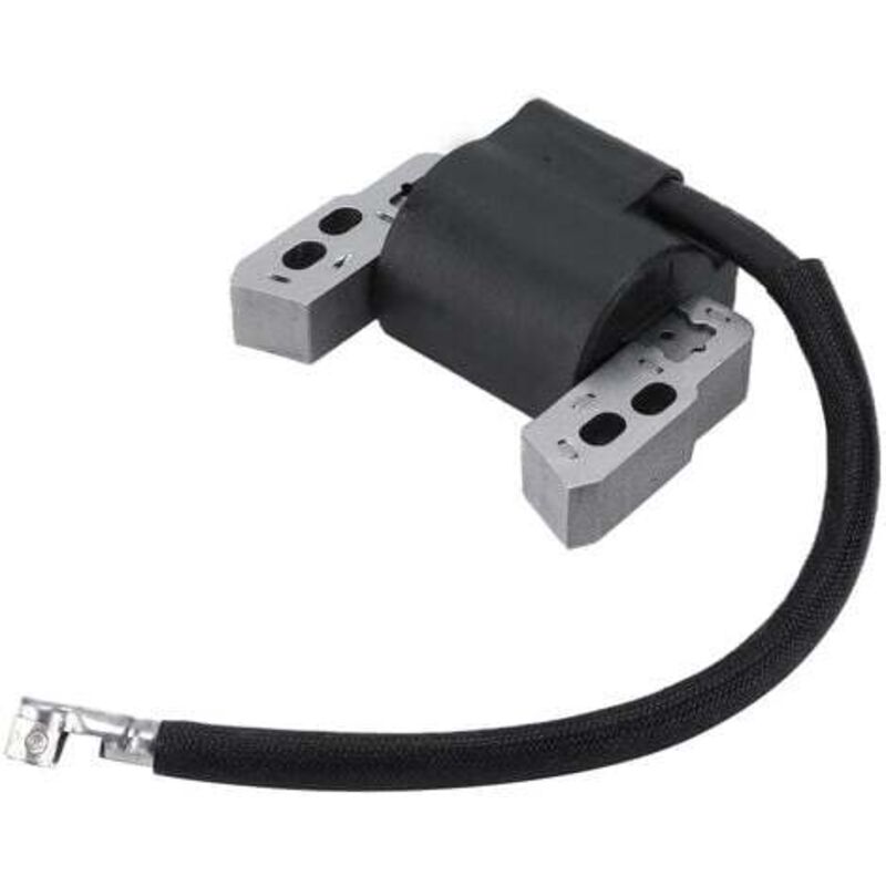 foto del prodotto lablanc modulo bobina di accensione motore in metallo 802574 796964 universale per briggs e stratton