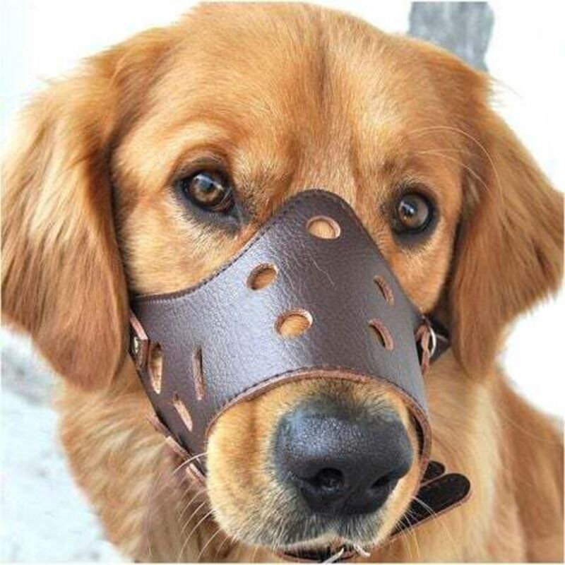 foto del prodotto lablanc museruola in pelle antiabbaio per cani di taglia grande, piccola e media l
