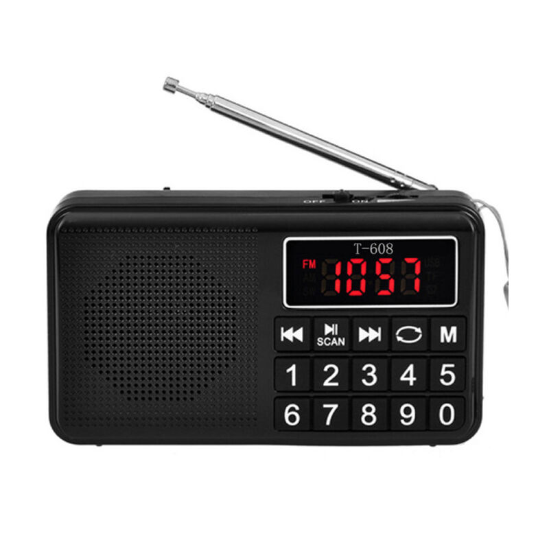 immagine 0 del prodotto lablanc radio portatile radio fm con batteria ricaricabile ad alta capacit , supporto per lettore mp3