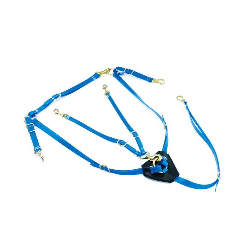 foto del prodotto lakota taglia unica cob full, blu royal pettorale e martingala in biothane con fibbie ottonate