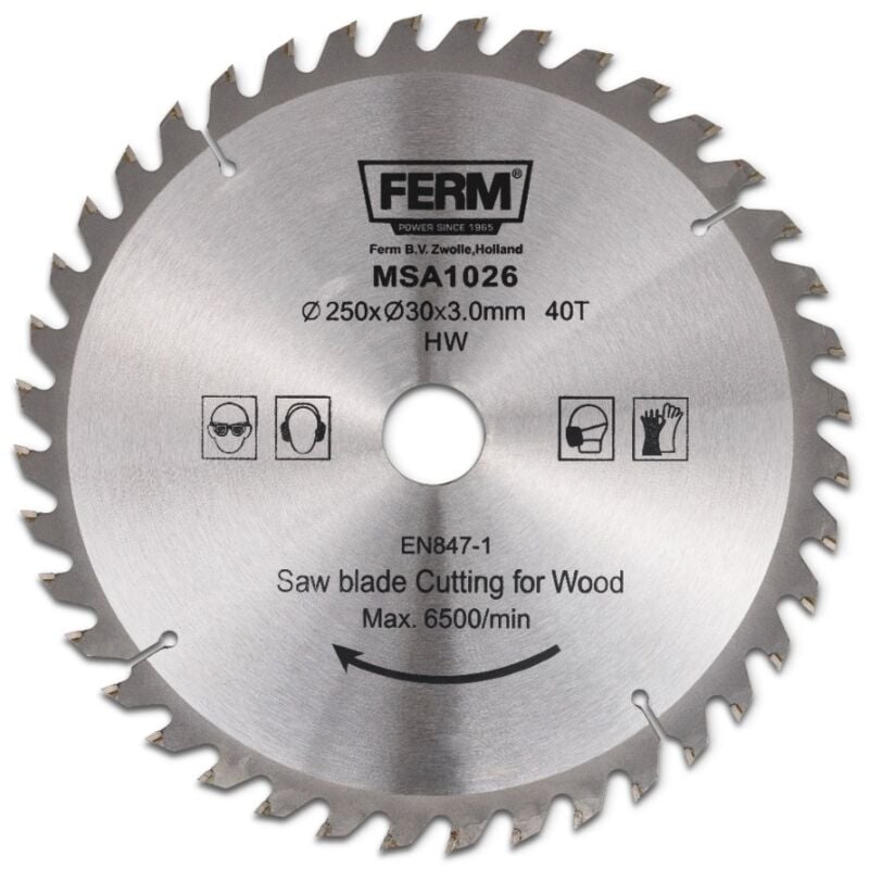 foto del prodotto lama 250x30 16 40t tct per sega da banco tsm1033 e tsm1034 ferm