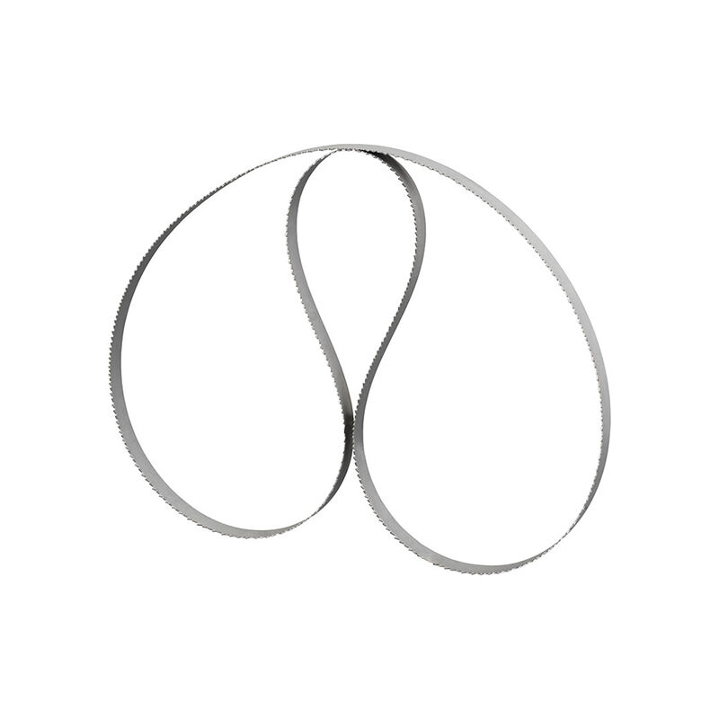 foto del prodotto lama a nastro bimetallica per metallo fervi lb01 1735 per segatrice a nastro 1735 x 13 x 0.65 mm