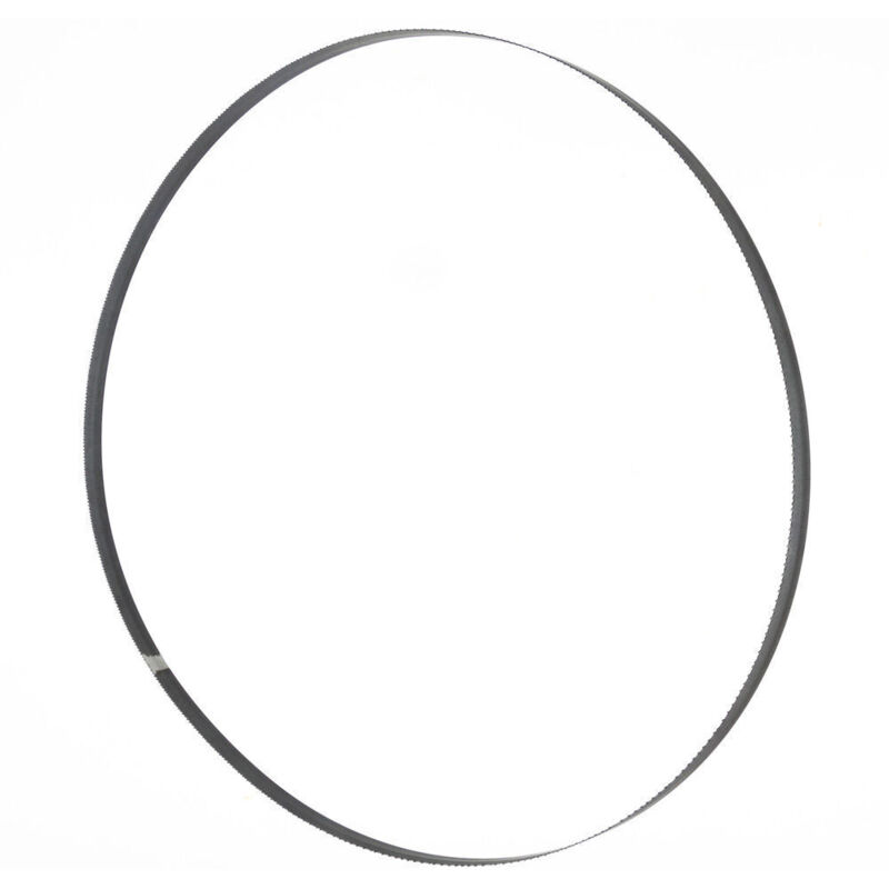 foto del prodotto lama nastro x legno 2240x16x0,5mm 6 z holzmann