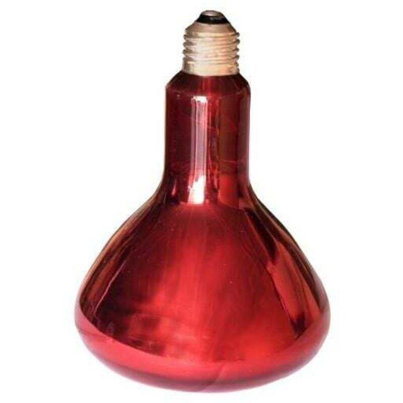 foto del prodotto lampada a infrarossi per fornire calore alla lettiera, potenza 250 w
