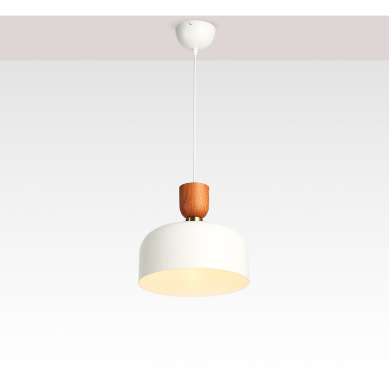 foto del prodotto lampada a sospensione nordica franz metallo e27