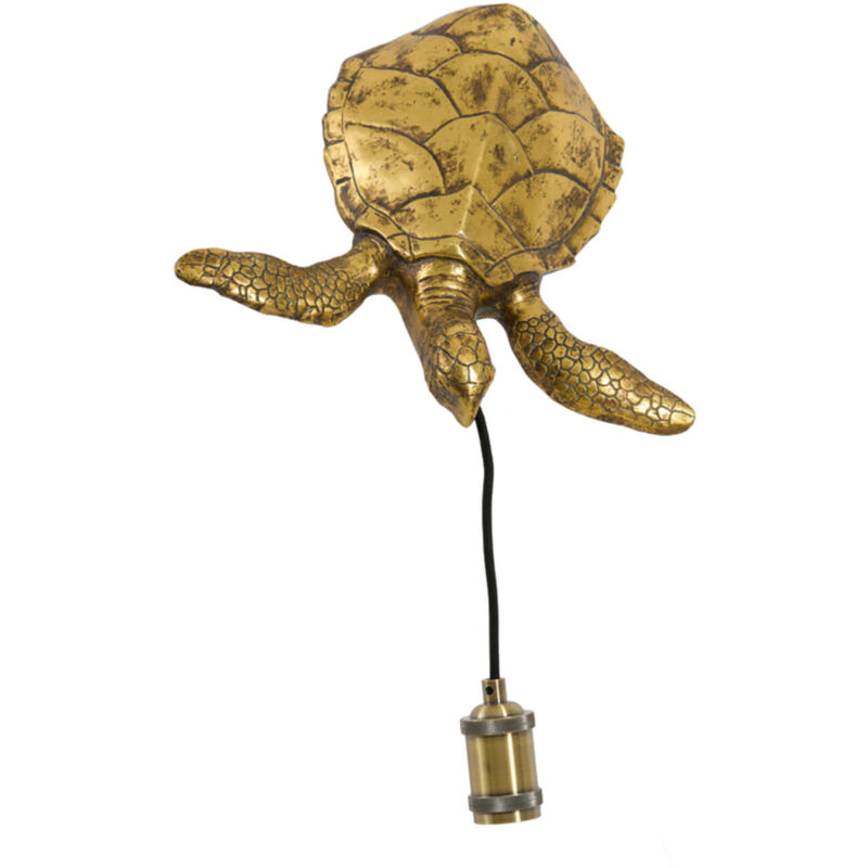 foto del prodotto lampada da parete turtle bronzo plastica light living