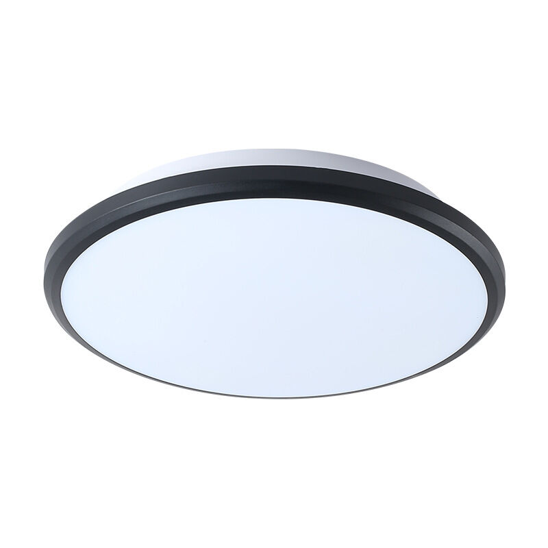 foto del prodotto lampada da soffitto a induzione per il corpo umano luce per corridoio, scale e corridoio 24 w 