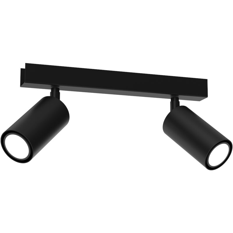 foto del prodotto lampada da soffitto hudson black 2xgu10