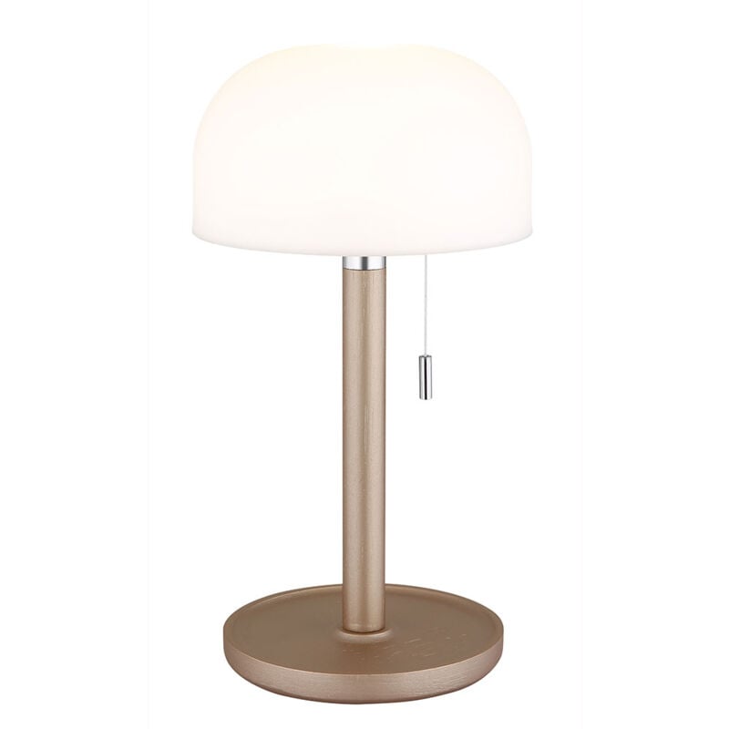 foto del prodotto lampada da tavolo per esterni lampada da giardino in bamb led ricaricabile usb, plastica opalina champagne, 1,5w 80lm bianco caldo freddo, dxh 15x28