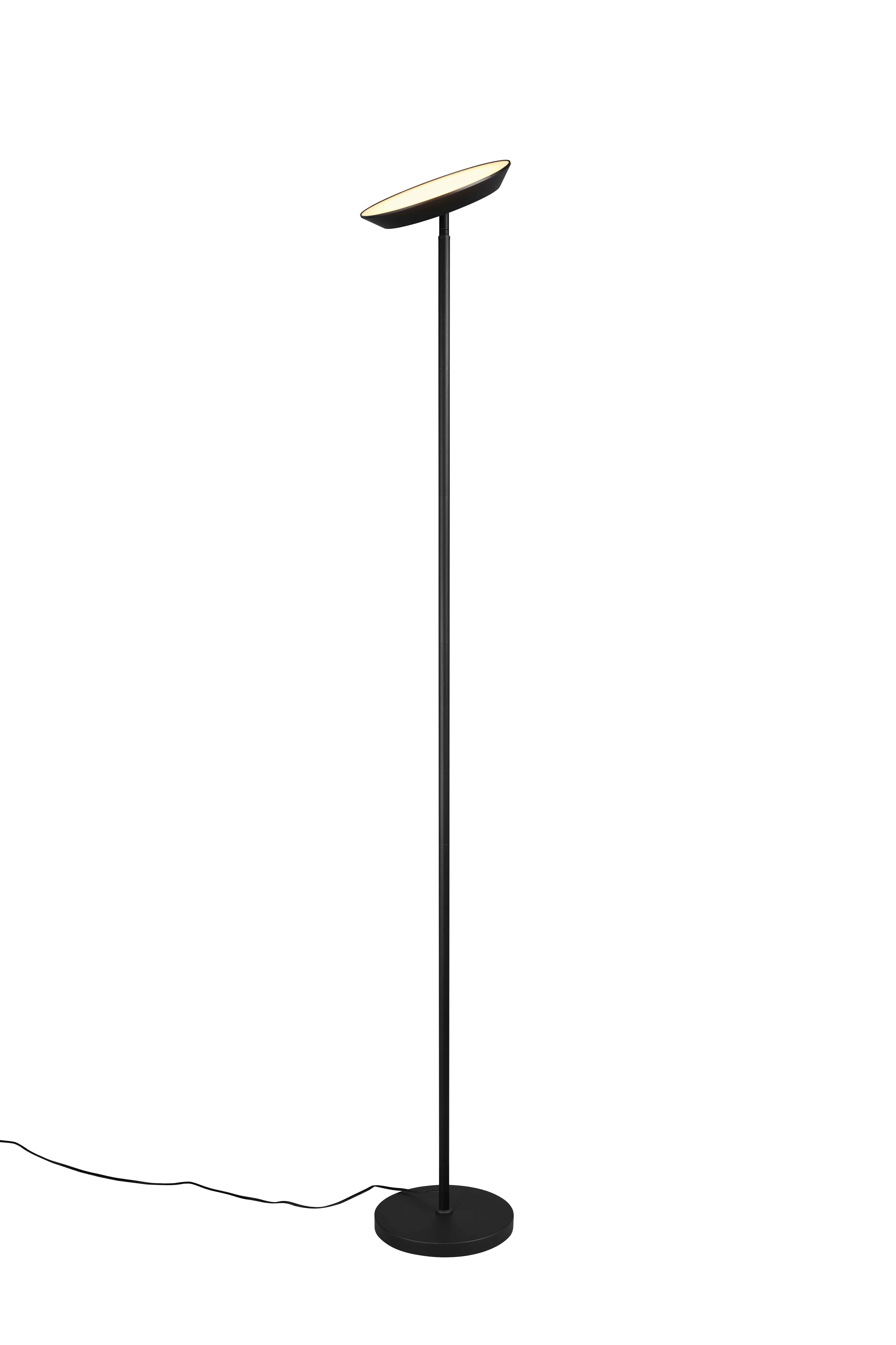 foto del prodotto lampada da terra led, metallo, nero, h 180 cm, specter