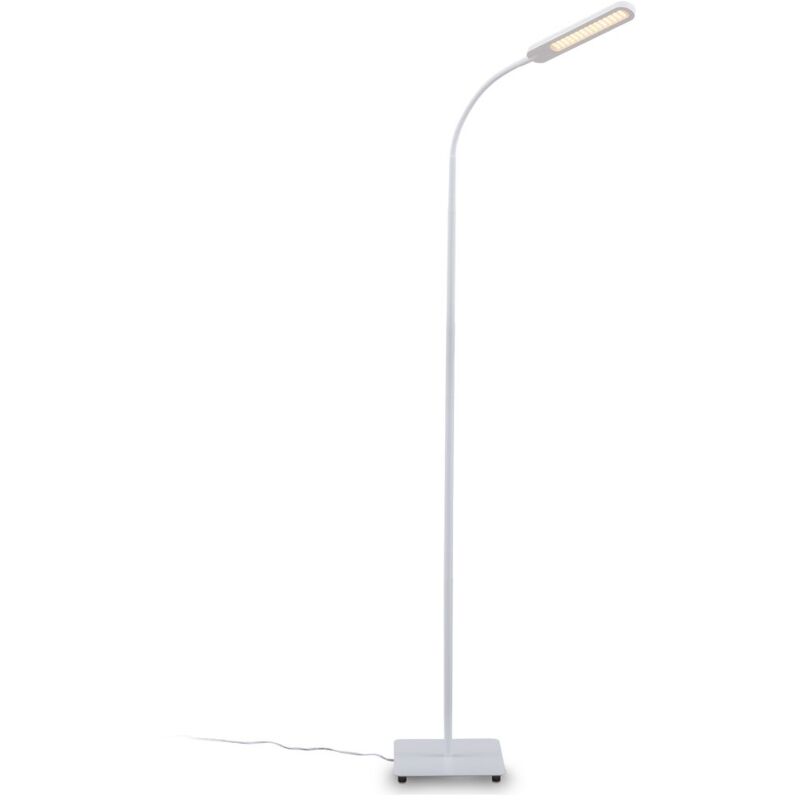 foto del prodotto lampada da terra led, piantana dimmerabile su 4 livelli, luce calda neutra o fredda, altezza d uso 1,35m, led integrati 6,5w, 600lm, orientabile,