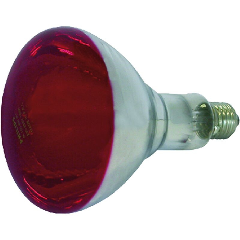 foto del prodotto lampada infrarossi per riflettore 150 w e27
