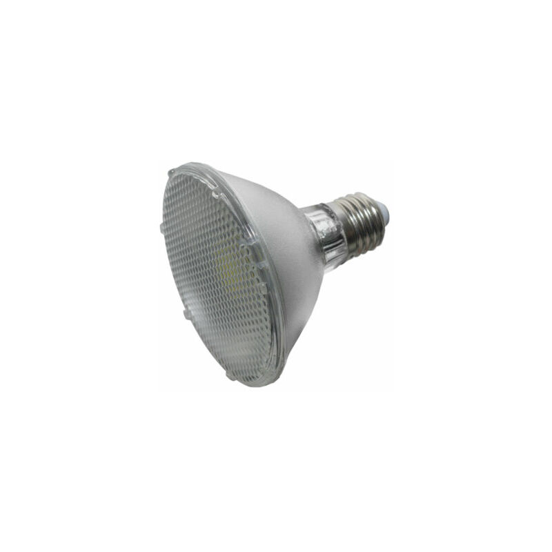 foto del prodotto lampada led 1 x 10w 1100 lumen luce bianca 6500k
