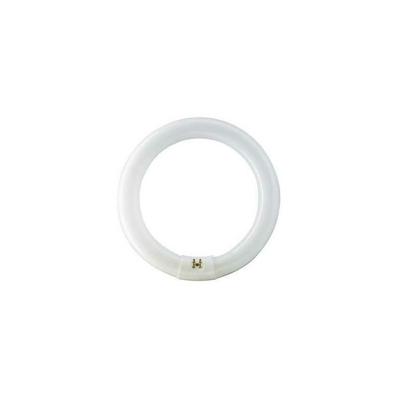 foto del prodotto lampada master tl e circolare 40w 840